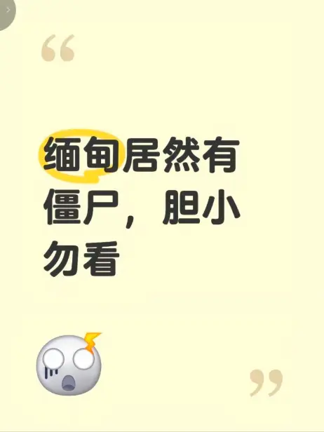 《缅甸僵尸出土事件》高清视频完整版在线免费播放-揭秘缅北神秘事件真相全程录像