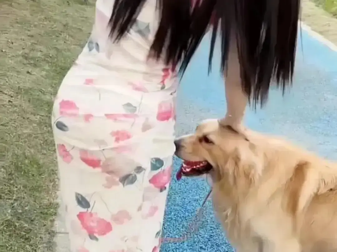 《抖音香香公主与爱犬金毛》完整版高清在线观看-抖音香香公主与爱犬金毛直播回放无广告免费资源-抖音香香公主与爱犬金毛全集无删减观看