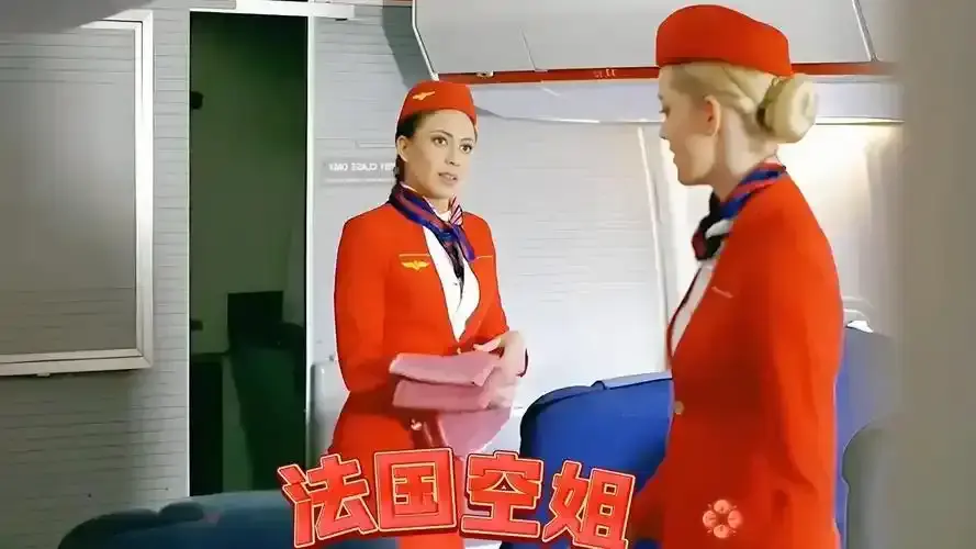 《法国空姐/不雅空乘》相关资源图片