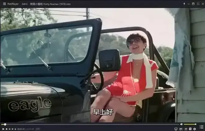 《美丽小蜜桃》未删减版在线观看-1978年复古喜剧电影高清中字-《美丽小蜜桃》完整版免费播放